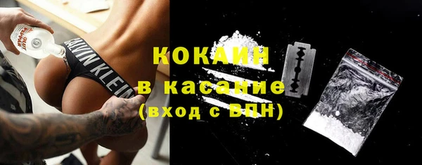 spice Алзамай