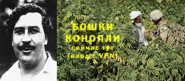гидропоника Арсеньев
