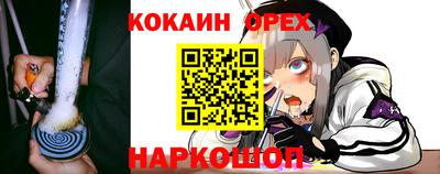 ешки Кингисепп