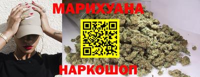 ешки Кингисепп