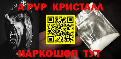 ешки Кингисепп