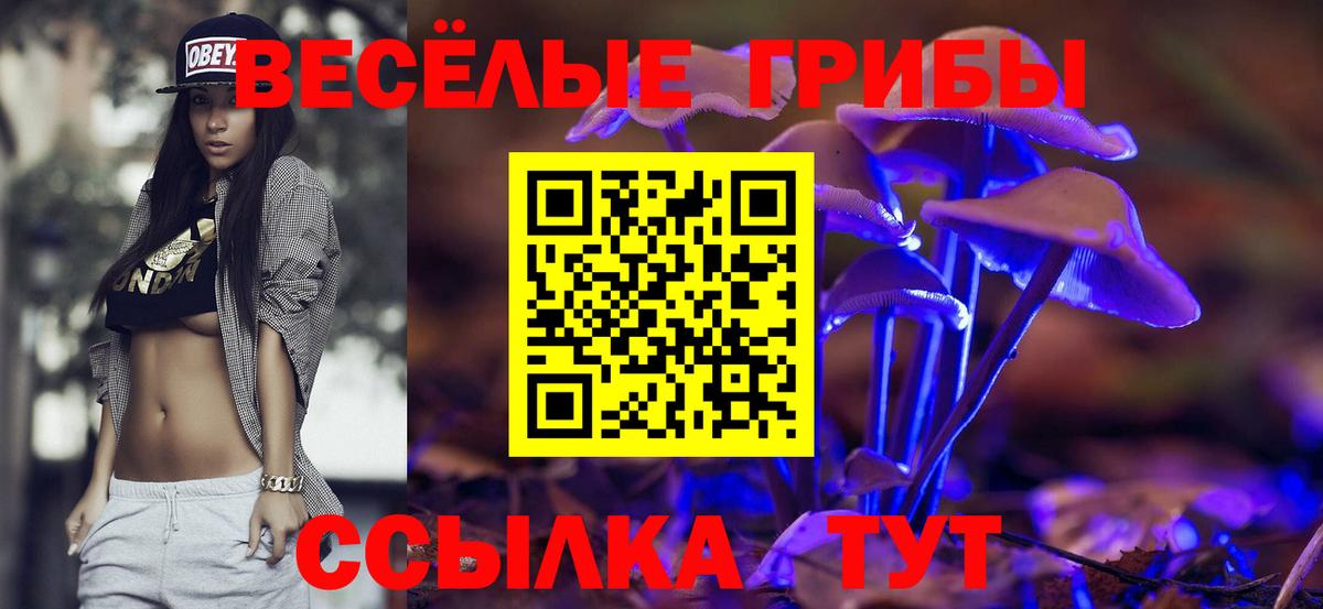 Галлюциногенные грибы мицелий  Вход с VPN  Кинель 