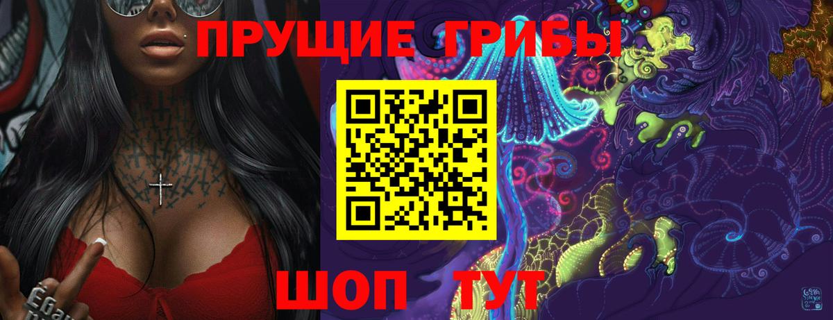 Галлюциногенные грибы Psilocybe Кинель