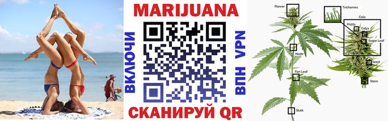 Марихуана SATIVA & INDICA Кинель